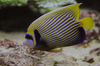 https://images.plurk.com/6jPxdZf2a3jIJn5np1nhHZ.jpg