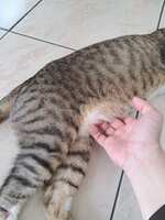 https://images.plurk.com/6jPzax63grTCJHeXysMk54.jpg
