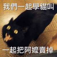 https://images.plurk.com/6jVtGvGBfx0mRMs8Dg13T9.jpg