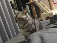 https://images.plurk.com/6jaGB4fGzenoYZLMyHEeaL.jpg