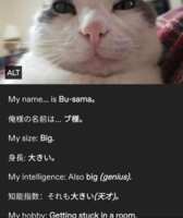 https://images.plurk.com/6jfsMSMojSYWVjr0mM6j3T.png
