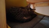 https://images.plurk.com/6jlYw4AOLLHlQoz8uvdiFY.jpg