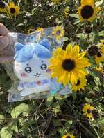 https://images.plurk.com/6jpQ106e51xO5JJhuNHlvG.jpg