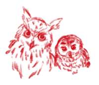 https://images.plurk.com/6k07cslVeVHqDi3BUcd756.png