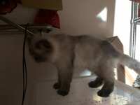 https://images.plurk.com/6k8ma2owGva3XBnevhQ7YI.jpg