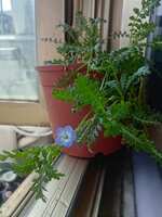 https://images.plurk.com/6kCxWlPV4EGdi644szpWzs.jpg