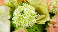 https://images.plurk.com/6kDtfNynCsMLdGFIuFux1r.jpg