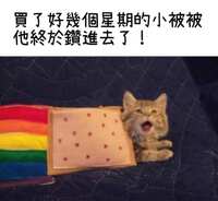 https://images.plurk.com/6kEYe6T6G1XUyVNEcdi4d0.jpg