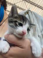 https://images.plurk.com/6kHUhf1UnwnuJbj3THV4DE.jpg