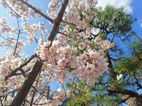 https://images.plurk.com/6kWXgIFfVnGvltMzcL1SM9.jpg