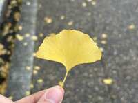 https://images.plurk.com/6kYbW9hOUCJFNEKsQN4WWM.jpg