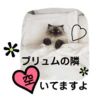 https://images.plurk.com/6kYcN9Hixf3fBrrdav6Zk2.png