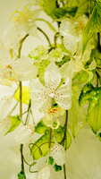 https://images.plurk.com/6kamn7rHl3yi62xaooZl3C.jpg