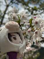 https://images.plurk.com/6kg0MRL9HwagdZV4OXB2b6.jpg