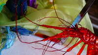 https://images.plurk.com/6kgLKSu3SFOpfDmasnQVcq.jpg