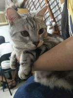 https://images.plurk.com/6ki2p71Pqsl4DD1vfUjuaP.jpg
