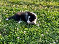https://images.plurk.com/6kjdURbE4J3qNt976wDKV1.jpg