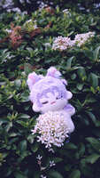 https://images.plurk.com/6kjpXjvSGsRbG5gIBa1Os8.jpg