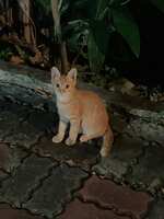 https://images.plurk.com/6kl6khtreUHNdurQ9coCdN.jpg