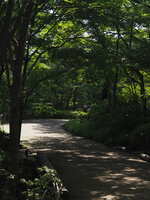 https://images.plurk.com/6klSYX2gd5RCTRco6uDkK6.jpg