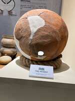 https://images.plurk.com/6klb1D4IGQD72N88sh0ly9.jpg