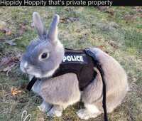 https://images.plurk.com/6ku52Xq6woLktIoPQoh4So.jpg