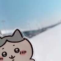 https://images.plurk.com/6kz41hHE4xsqyaqP4rPXhN.jpg