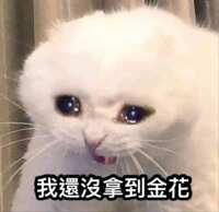 https://images.plurk.com/6l7PjWb0gpFiAh8kfgd7qF.png