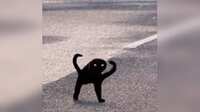 https://images.plurk.com/6l8xXFlNCufpzqBK3BaNjl.jpg