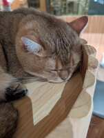https://images.plurk.com/6lAKFGTk9qyBY9WiEQb3LU.jpg