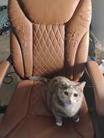 https://images.plurk.com/6lDgpbrGkboaBXeT5s8xca.jpg