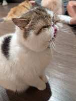 https://images.plurk.com/6lPTvdEAiD49EgSujcyCKg.jpg