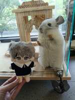 https://images.plurk.com/6lSaJ7MTZcbj8Ukc10m54w.jpg