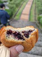 https://images.plurk.com/6lWI6HQMIgUzzd2m3CU1t.jpg