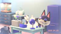https://images.plurk.com/6ljVFlatYUImfbRcL1PC9R.jpg