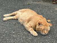 https://images.plurk.com/6ljoxXdBnmkCrL08Z1eGNP.jpg