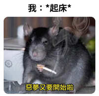 https://images.plurk.com/6lshVbqter6YRjLhXFSMpQ.jpg