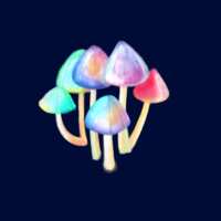 https://images.plurk.com/6lvMw6AfqPyJnMqCrGLhV1.png