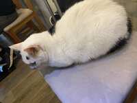 https://images.plurk.com/6m1qalZRIWTr29pHHtoaR6.jpg