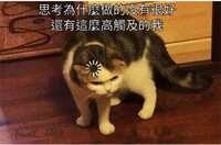 https://images.plurk.com/6m3OWNWzaQcTivTRwITX6.jpg