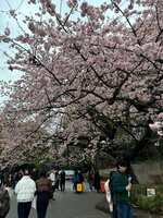 https://images.plurk.com/6mB0dfPJAGTd8YbM0hdQDz.jpg