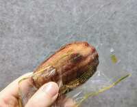 https://images.plurk.com/6mPDq6U0zEEt2Y4bXpK98b.jpg