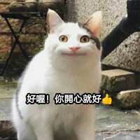 https://images.plurk.com/6mQXUEqVBc6nE3ZymNkzo6.png