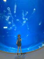 https://images.plurk.com/6mRvKBi18Vi5zG554bWNSb.jpg