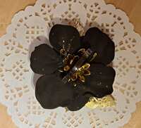 https://images.plurk.com/6mU8qd0Ogn5GAfV1XsGe49.jpg