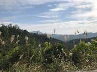 https://images.plurk.com/6mb7htbV4pGZRFm3j8DNVJ.jpg