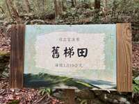 https://images.plurk.com/6mnrsr5ydn7lrmYk01KcGH.jpg
