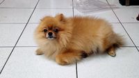 https://images.plurk.com/6ms4GUyKaYdOMk4TVxsSol.jpg