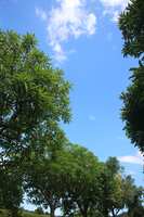 https://images.plurk.com/6mvGdrUb9jobyhL1GDWrOC.jpg
