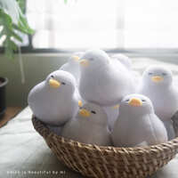 https://images.plurk.com/6mvovgIGSNh9taCl7BDRaH.jpg